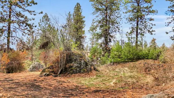 1101 S Upper Vista Dr, Spokane, WA 99202