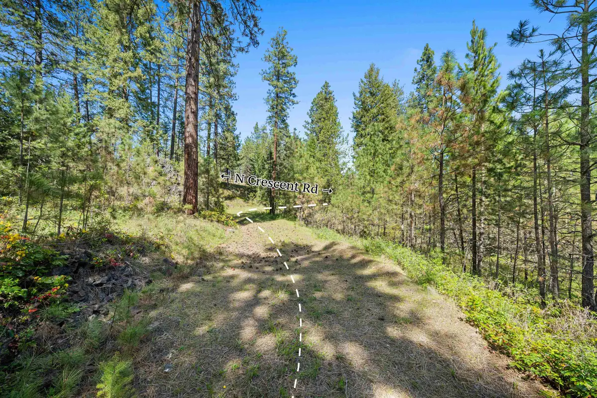 230XX N Crescent Rd, Colbert, WA 99005 - #1