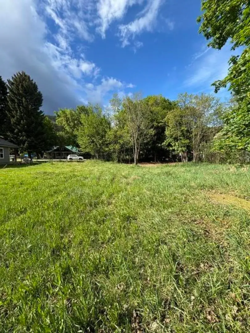 3XX E 5th Ave, Kettle Falls, WA 99141-0000 - #2