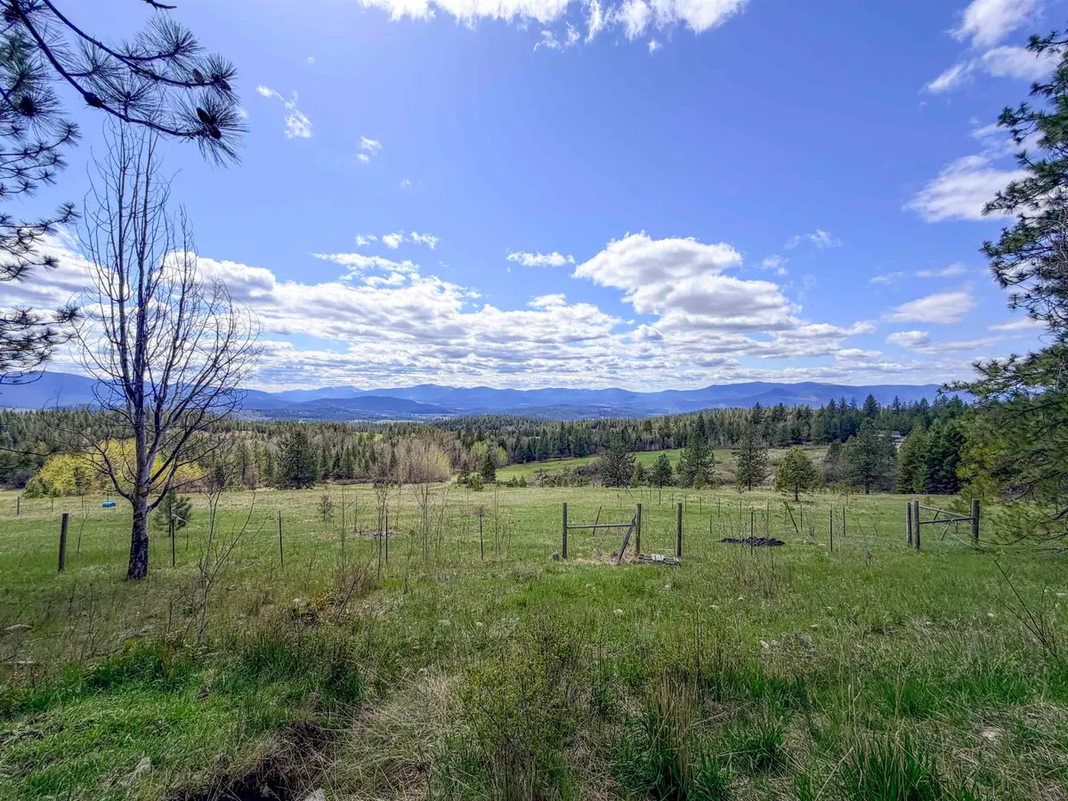 829 Dominion Springs Way, Colville, WA 99114 - #1