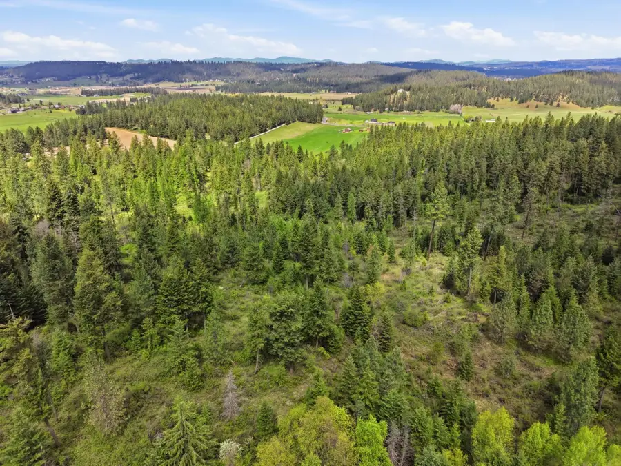 XXXX Woolard Rd, Colbert, WA 99005 - #2