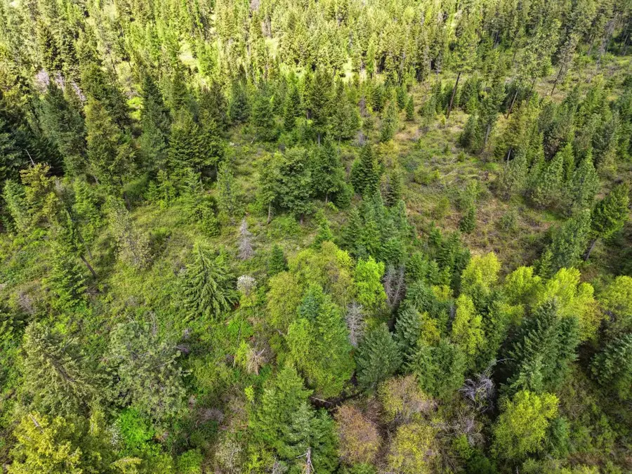 XXXX Woolard Rd, Colbert, WA 99005 - #3