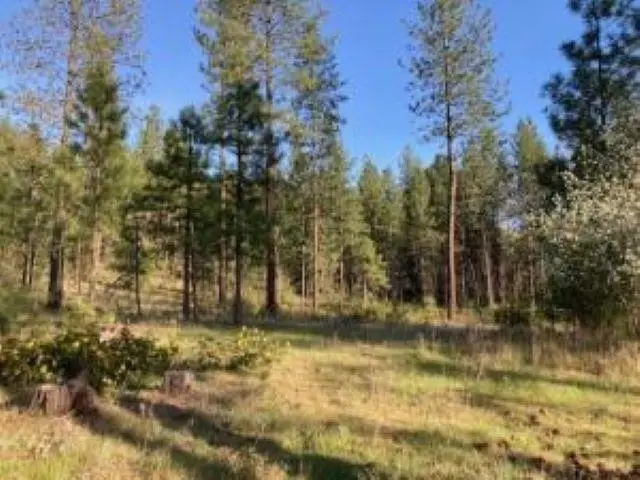1172 Fumi Cir, Kettle Falls, WA 99141 - #1