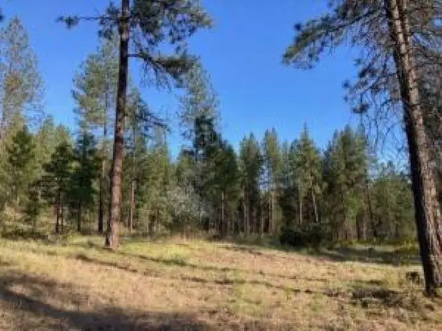 1172 Fumi Cir, Kettle Falls, WA 99141 - #2