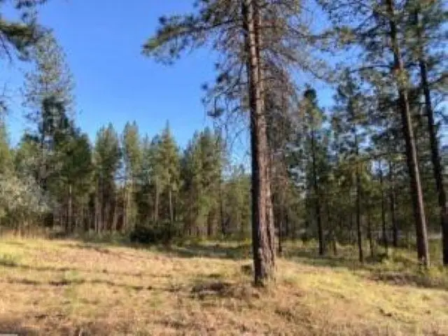1172 Fumi Cir, Kettle Falls, WA 99141 - #3