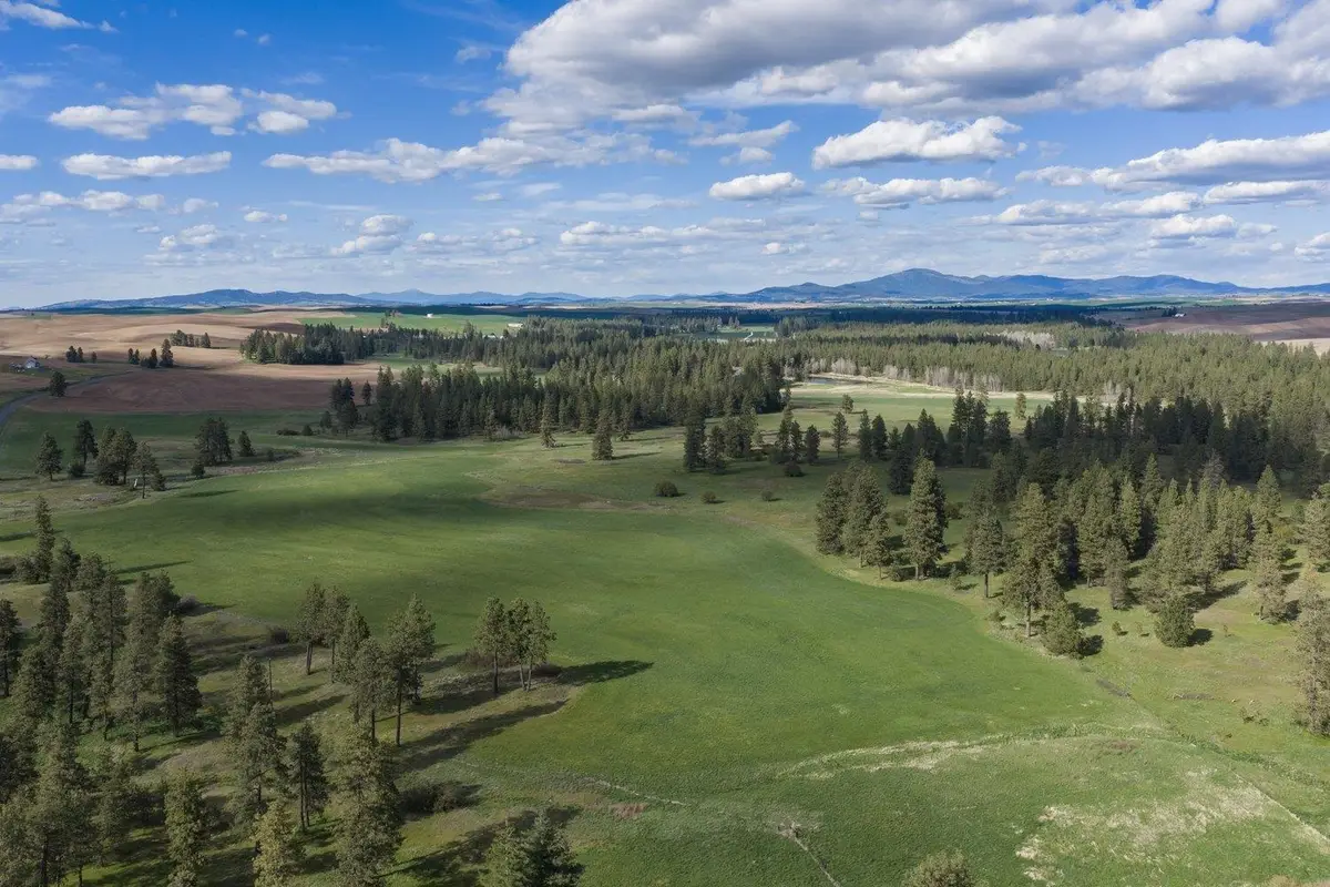32312 S North Pine Creek Rd, Spangle, WA 99031 - #1