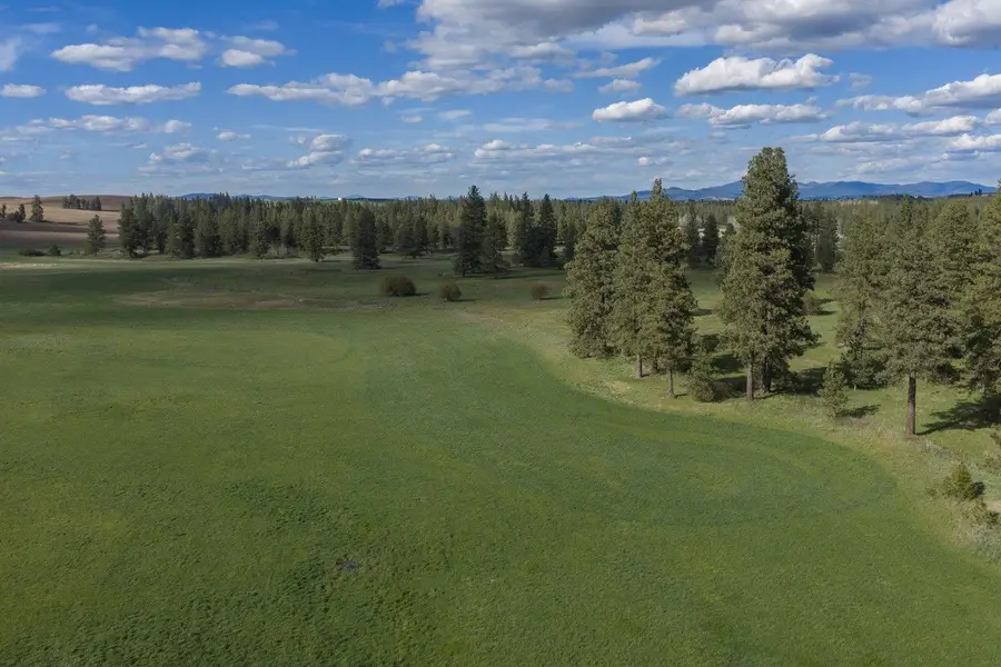 32312 S North Pine Creek Rd, Spangle, WA 99031 - #2