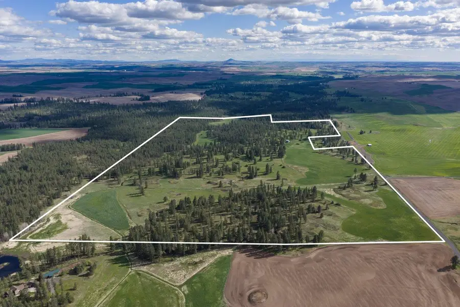32312 S North Pine Creek Rd, Spangle, WA 99031 - #3