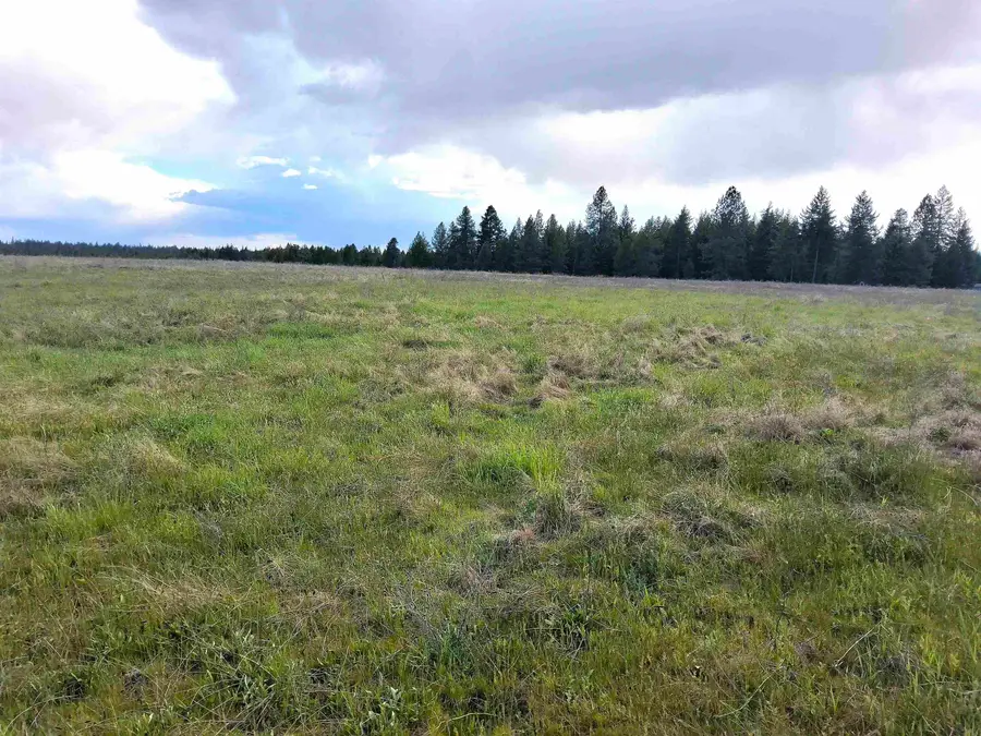 000 W Insert Ln, Deer Park, WA 99006 - #3