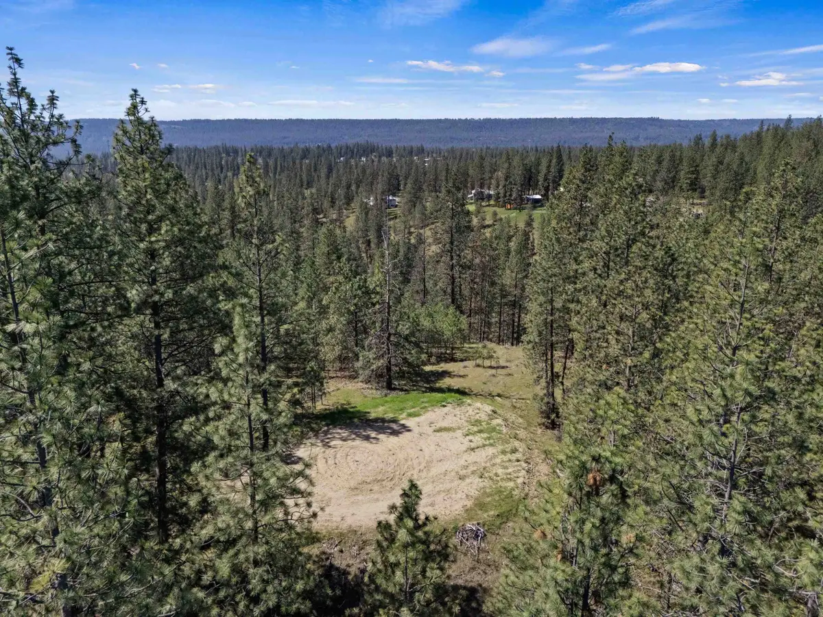 5882 Lot 4 Lower Weaver Way, Nine Mile Falls, WA 99026 - #1