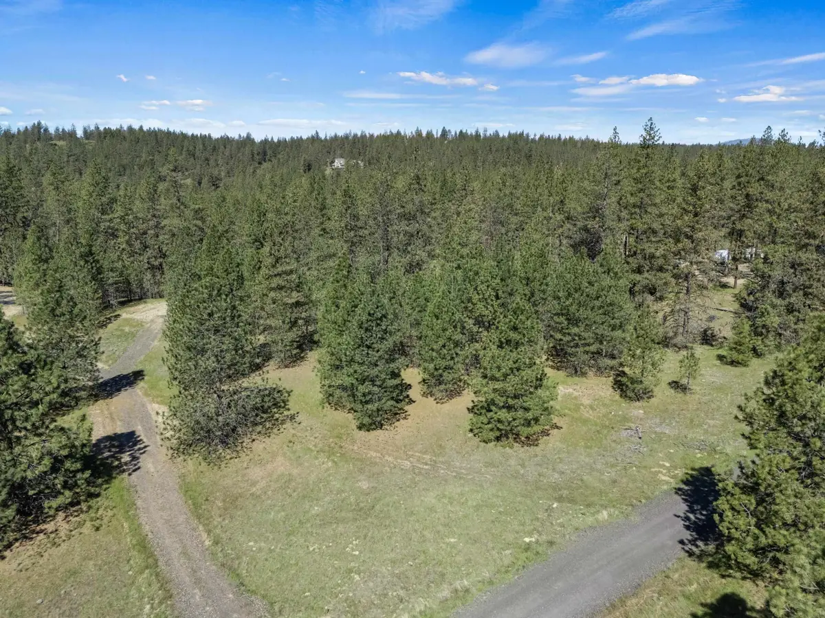 5880 Lot 3 Lower Weaver Way, Nine Mile Falls, WA 99026 - #1