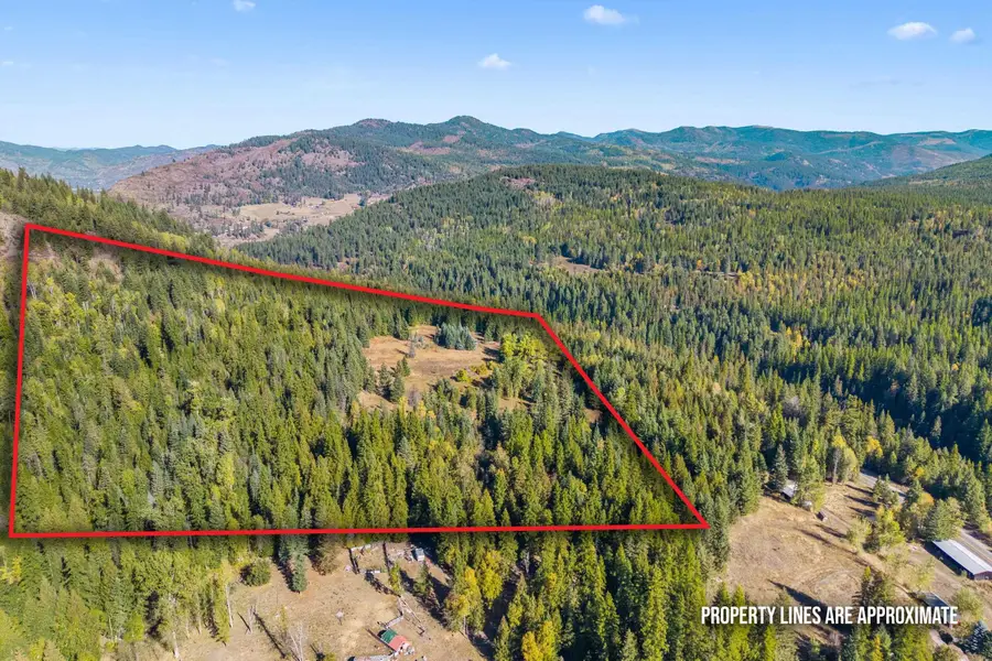 3841 Deep Lake Boundary Rd, Colville, WA 99114 - #2