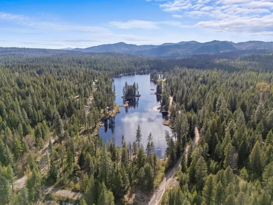 242 Quartz Rd, Newport, WA 99156 - #2
