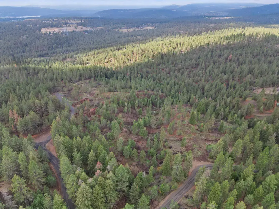 NKA Weaver Way, Deer Park, WA 99006 - #2