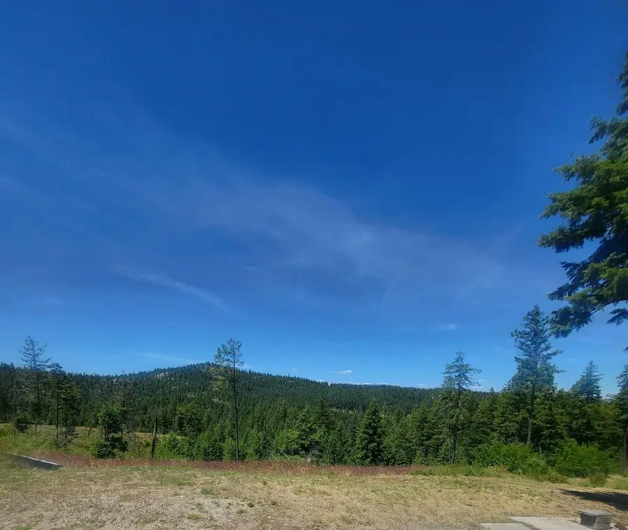 42484 Mt Moriah Way, Loon Lake, WA 99148 - #2