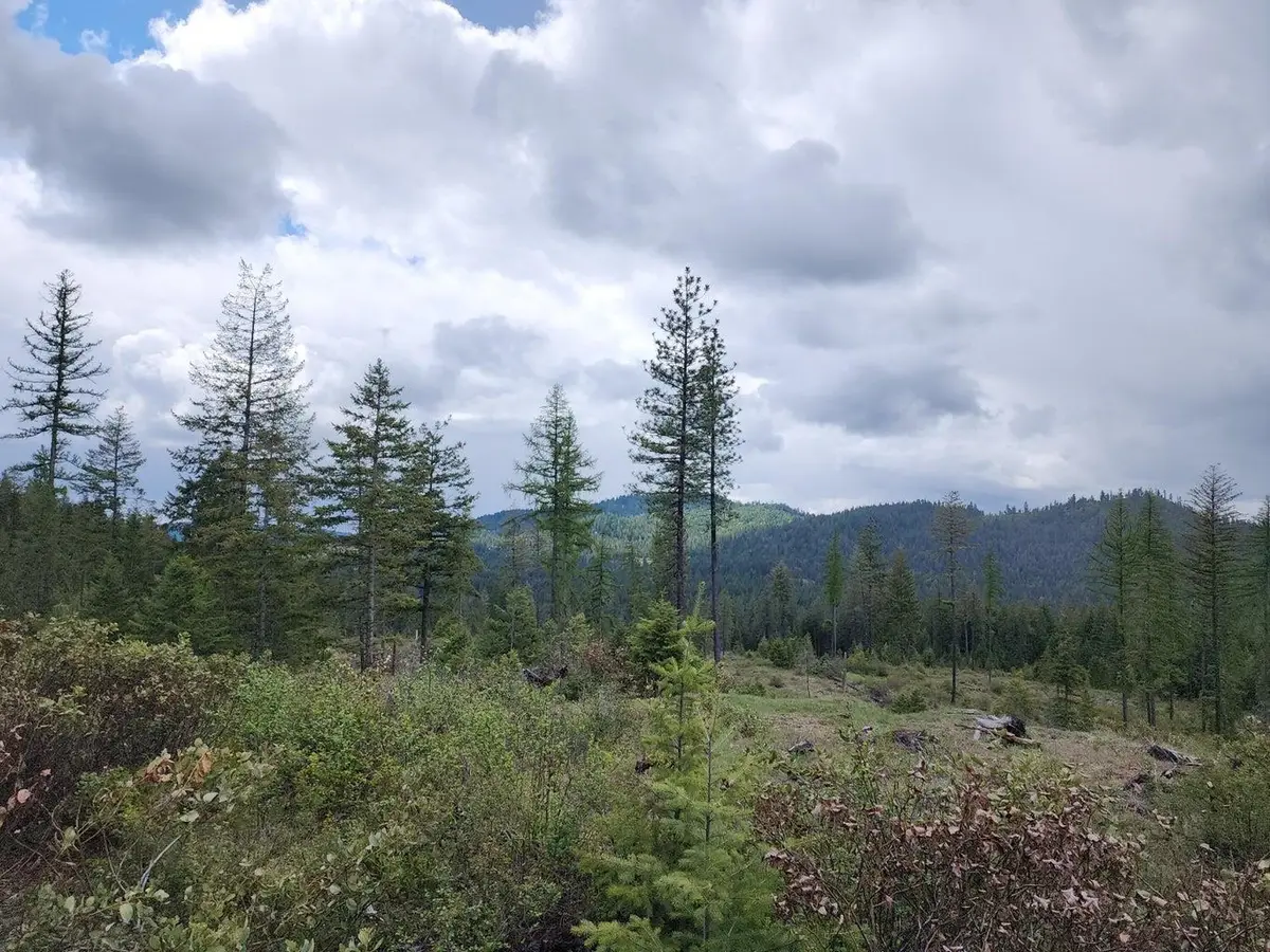 33XX Veit Rd, Newport, WA 99156-0000 - #1