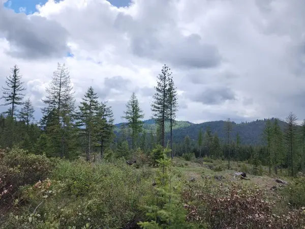 33XX Veit Rd, Newport, WA 99156-0000