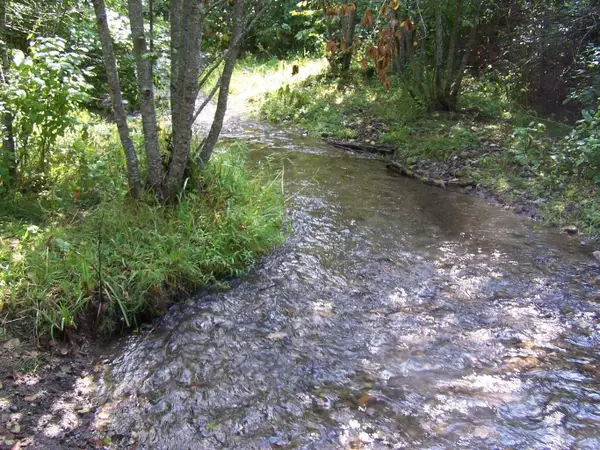 35XX Northport Flat Creek Rd, Colville, WA 99114-0000