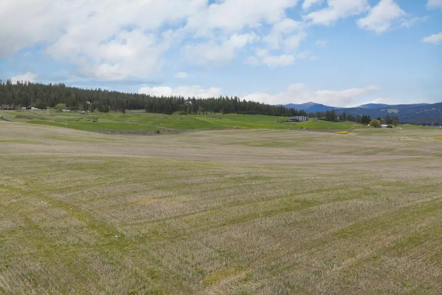 9905 E Peone Landing Ln, Colbert, WA 99201 - #3