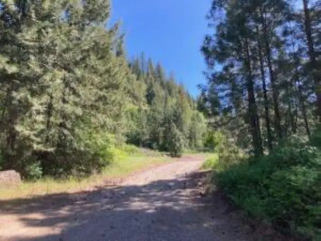 2051 Wa-25 Hwy, Kettle Falls, WA 99141-9914 - #1