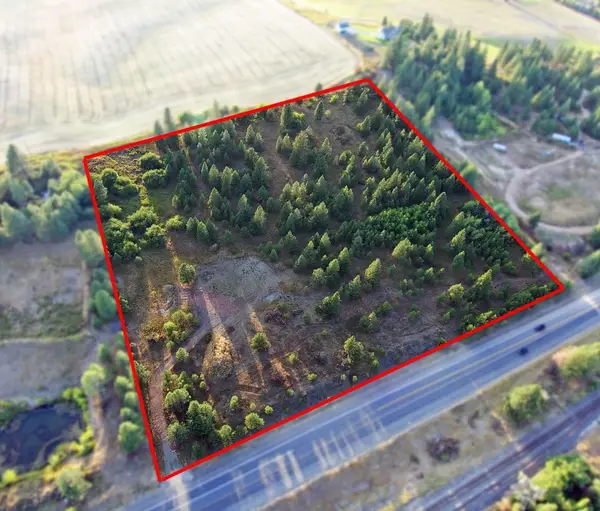14117 E E Gibbs Rd, Mica, WA 99023