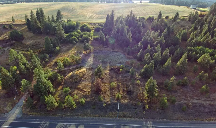 14117 E E Gibbs Rd, Mica, WA 99023 - #2