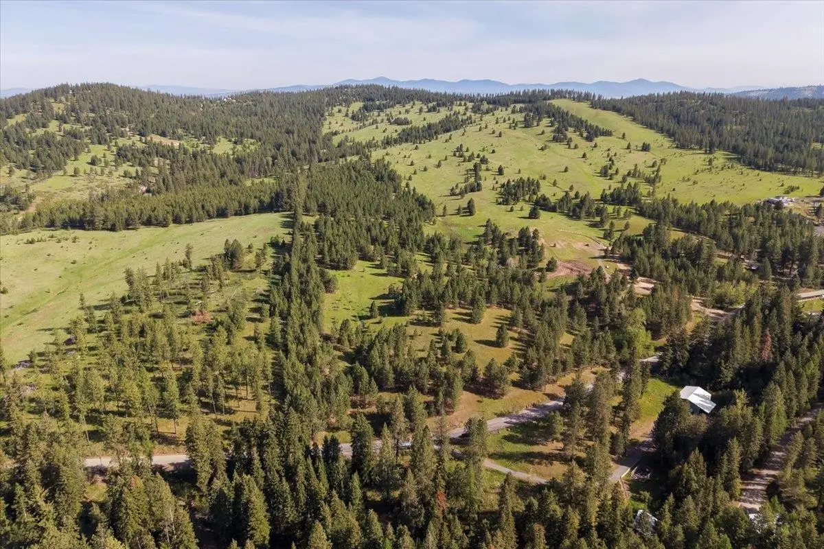 TBD E Belmont Rd, Mica, WA 99023 - #1