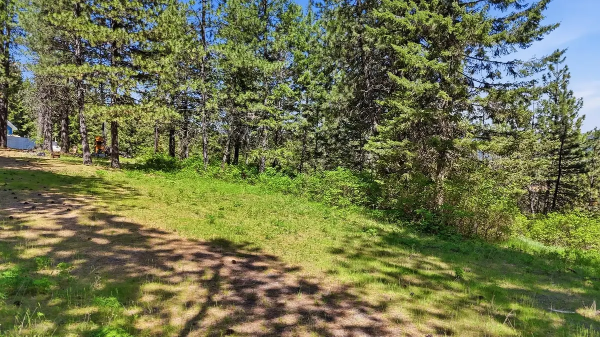 12703 S Alpine Fern Rd, Rockford, WA 99030 - #1
