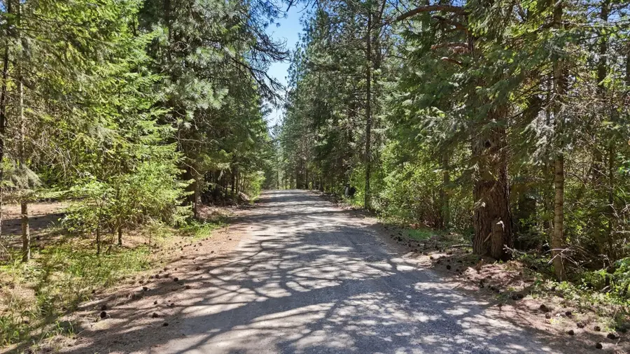 12703 S Alpine Fern Rd, Rockford, WA 99030 - #3