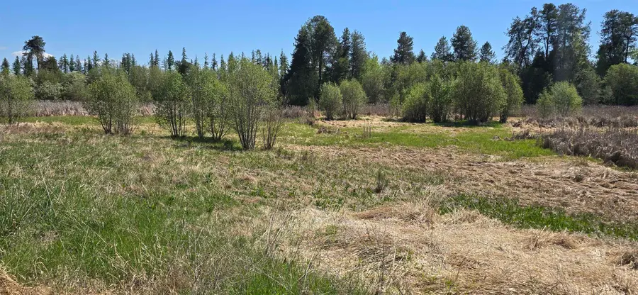 44XX N Swenson Rd, Clayton, WA 99110 - #2