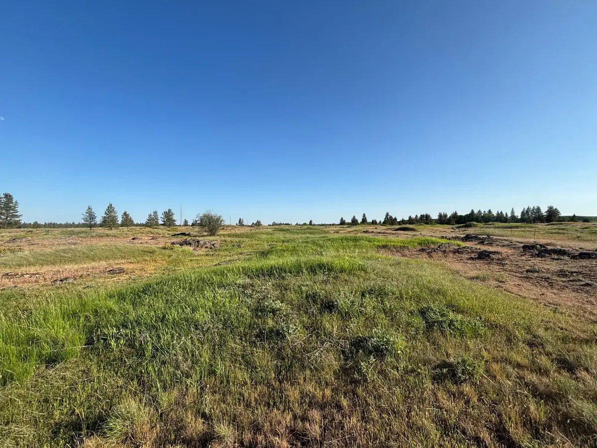 19456 S Harrison Rd, Edwall, WA 99008 - #1