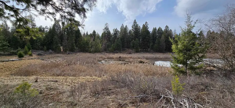 99 Prior Loop Rd, Other, WA 98844 - #2