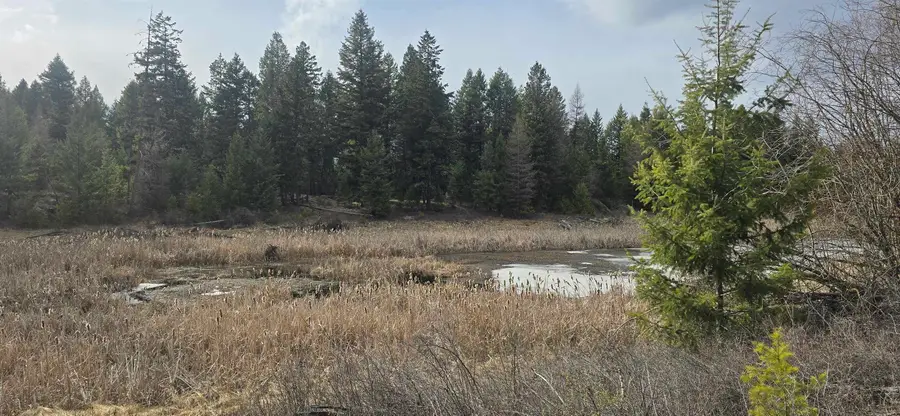 99 Prior Loop Rd, Other, WA 98844 - #3