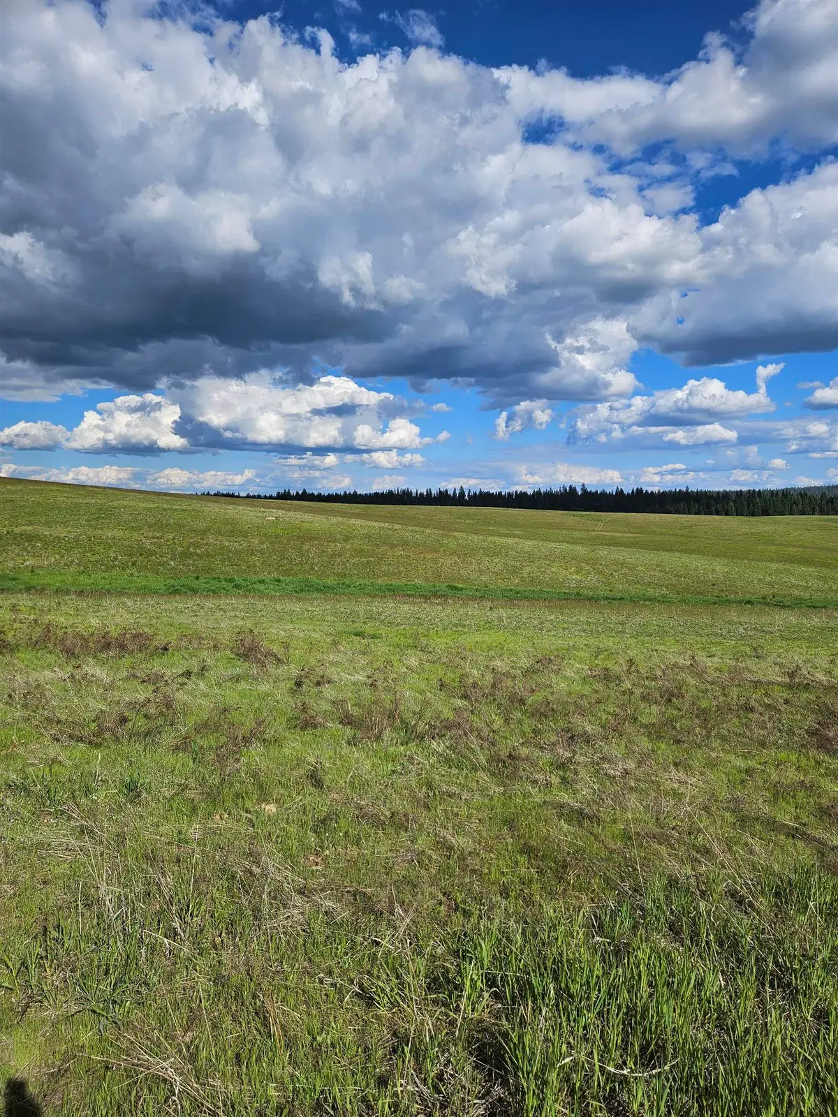 52XX Wagner Lot A Rd, Springdale, WA 99173 - #1