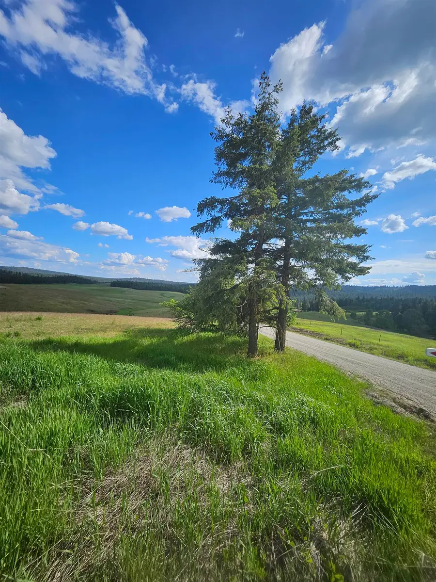 52XX Wagner Lot A Rd, Springdale, WA 99173 - #3