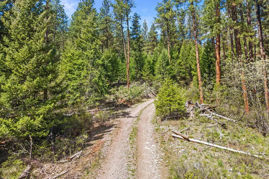 TBD Klondike Rd, Republic, WA 99141 - #2