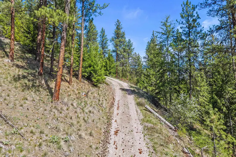 TBD Klondike Rd, Republic, WA 99141 - #3