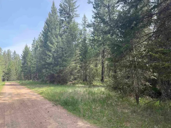 67 First Thought Loop, Other, WA 99146