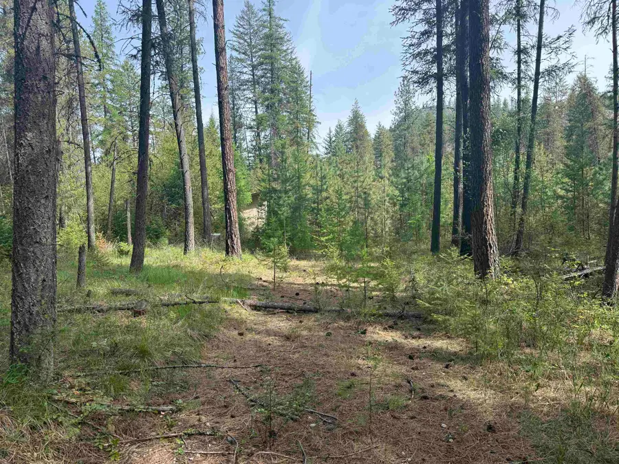67 First Thought Loop, Laurier, WA 99146 - #3