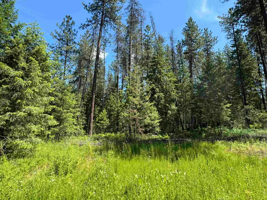 610 N A St, Springdale, WA 99173 - #2