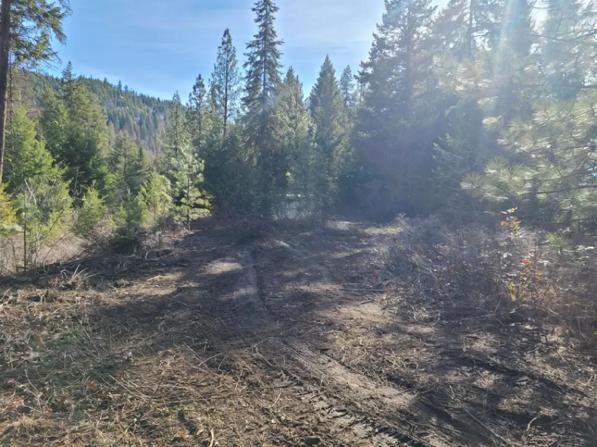 2584-F Bridgeman Rettinger Rd, Kettle Falls, WA 99141 - #1