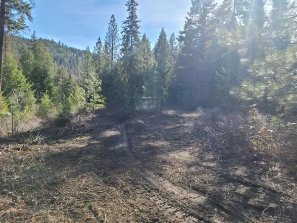 2584-F Bridgeman Rettinger Rd, Kettle Falls, WA 99141
