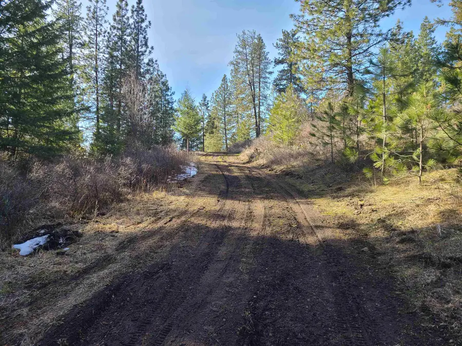 2584-F Bridgeman Rettinger Rd, Kettle Falls, WA 99141 - #2