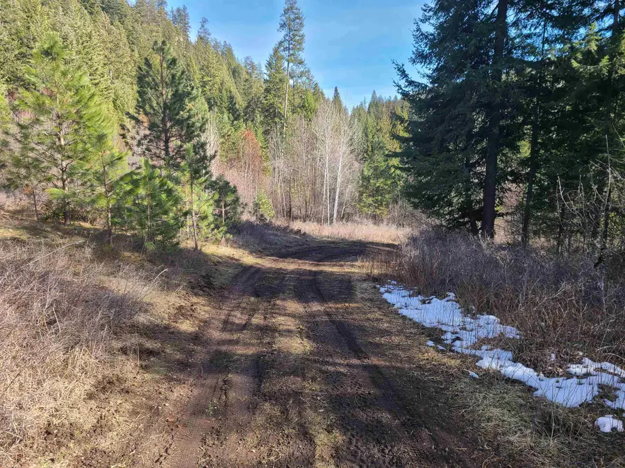 2584-F Bridgeman Rettinger Rd, Kettle Falls, WA 99141 - #3