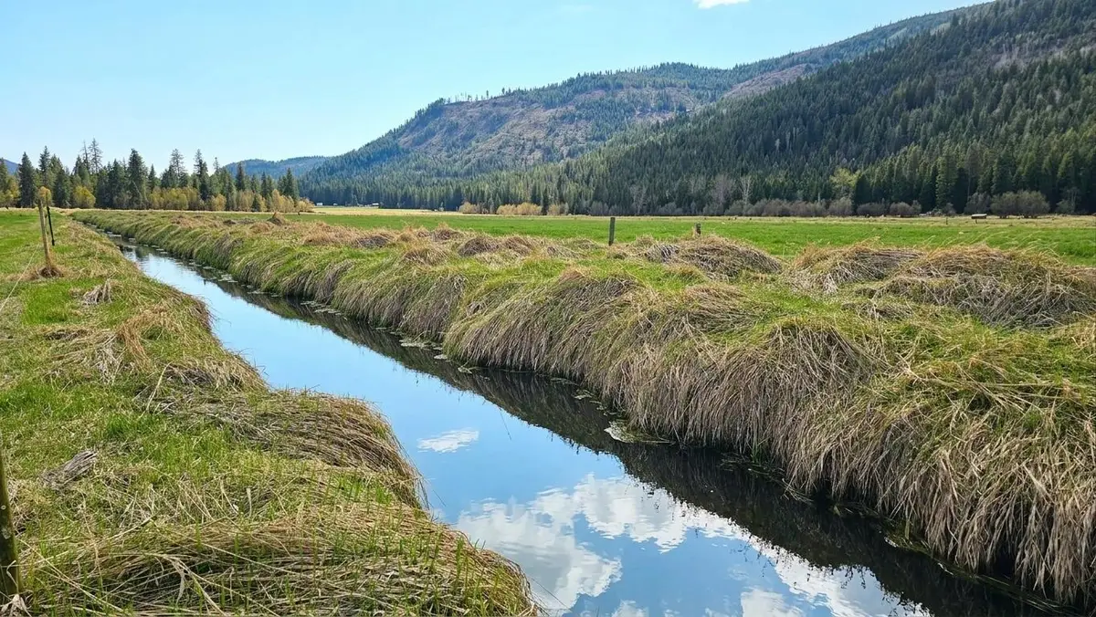 36xx Deep Lake Boundary Rd, Colville, WA 99114-0000 - #1