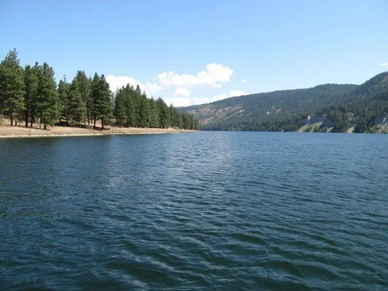 20XX Ray Anderson Rd, Kettle Falls, WA 99141 - #1