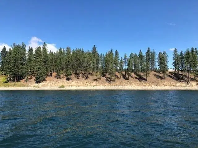 20XX Ray Anderson Rd, Kettle Falls, WA 99141 - #3