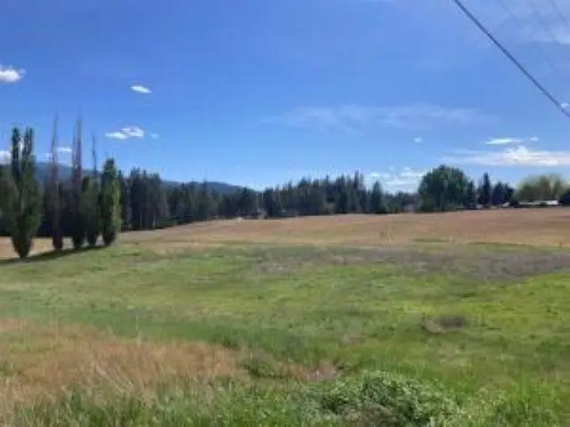 1XXX S Juniper St, Kettle Falls, WA 99141-9941 - #1
