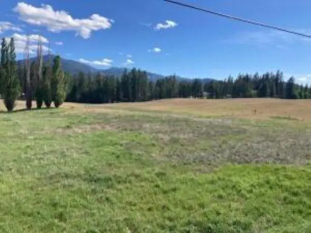 1XXX S Juniper St, Kettle Falls, WA 99141-9941 - #3