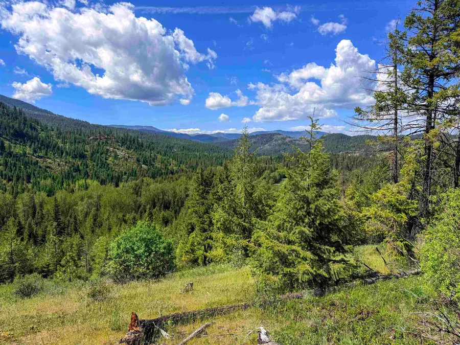 3499-TBD Waitts Lake South Rd, Valley, WA 99181 - #2